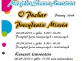 XIX Miejska Scena "O Puchar Prezydenta Miasta"