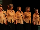 koncert laureatów Turnieju "Witaj Majowa Jutrzenko" (3 maja 2013 r.) fot. Mariusz Karolak (POK "Dom Chemika") / 154