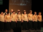 koncert laureatów Turnieju "Witaj Majowa Jutrzenko" (3 maja 2013 r.) fot. Mariusz Karolak (POK "Dom Chemika") / 156