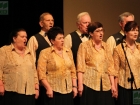 koncert laureatów Turnieju "Witaj Majowa Jutrzenko" (3 maja 2013 r.) fot. Mariusz Karolak (POK "Dom Chemika") / 157