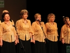 koncert laureatów Turnieju "Witaj Majowa Jutrzenko" (3 maja 2013 r.) fot. Mariusz Karolak (POK "Dom Chemika") / 158