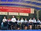 Wojewódzki Przegląd Orkiestr Dętych w Nałęczowie (23.06.2019), fot.POK "Dom Chemika" /  15