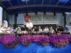 Puławska Orkiestra Dęta na Dożynkach Powiatowych w Kurowie (25.08.2019), fot. POK "Dom Chemika"/ 7