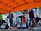 Koncert "Brzegami Jazzu" (12.07.2020), fot. POK "Dom Chemika" /  1