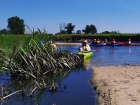 Spływ kajakowy po rzece Wieprz (18.07.2020), fot. T. Kitka /  1