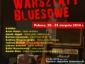 VIII Letnie Warsztaty Bluesowe Puławy 2014
