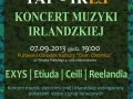 Koncert muzyki elektronicznej i irlandzkiej "TAP IREE" 